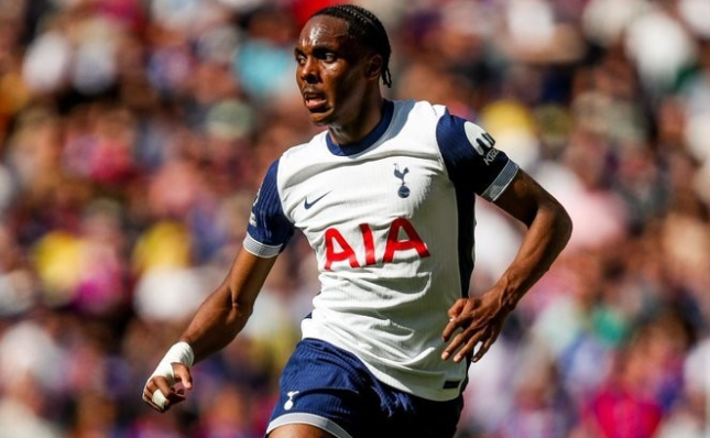 热刺或3500万欧签下特尔，转会模式博弈终落幕